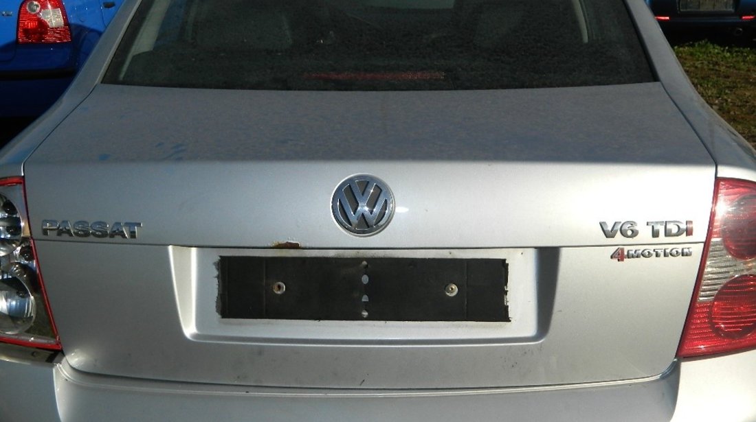 Telescoape spate Vw Passat 2.5Tdi V6 4x4 model 2003