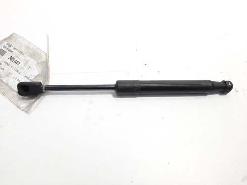Telescop capota fata, Renault Scenic 3, id:380141