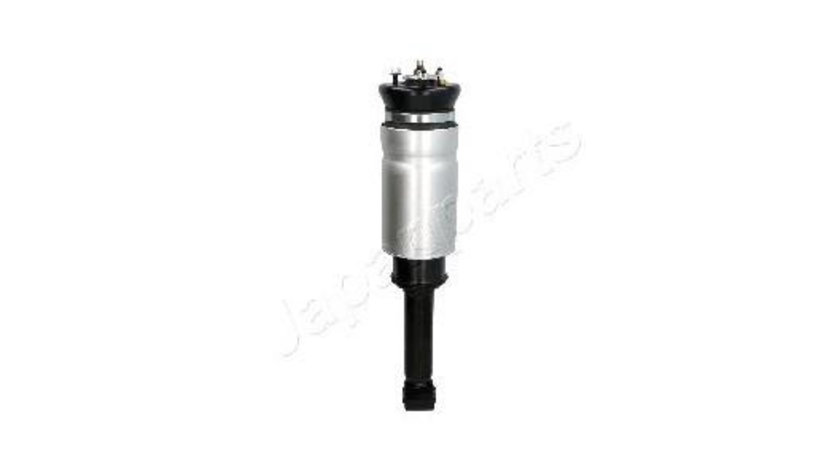 Telescop cu perna aer Land Rover RANGE ROVER SPORT (LS) 2005-2013 #2 APL011MT