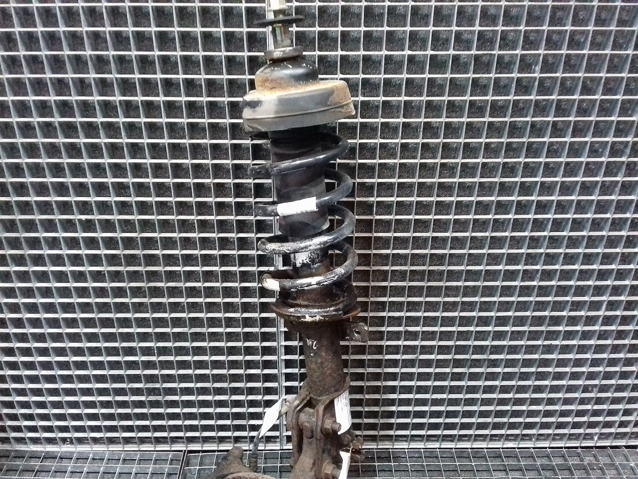 TELESCOP FATA STANGA RENAULT TRAFIC 1.9 DCI - (2001 2006)