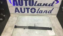 Telescop Haion 2 Buc Audi A5 2007