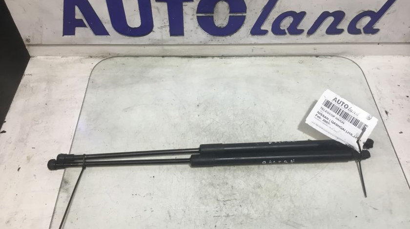 Telescop Haion 2 Buc Nissan QASHQAI J10,JJ10 2007