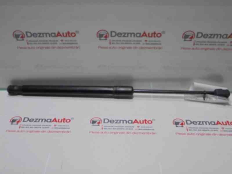 Telescop haion, 904510001R, Megane 3 hatchback (BZ0)
