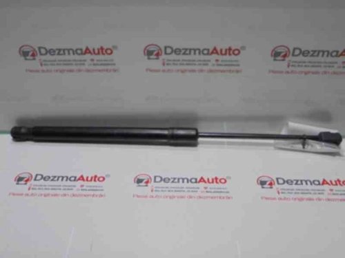 Telescop haion, 904510001R, Megane 3 hatchback (BZ0)