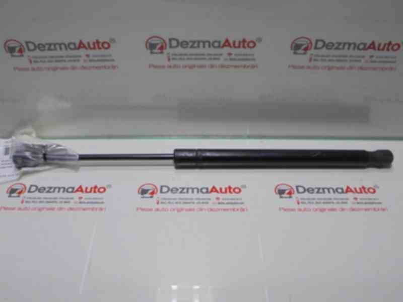 Telescop haion, 904510001R, Megane 3 hatchback (BZ0)