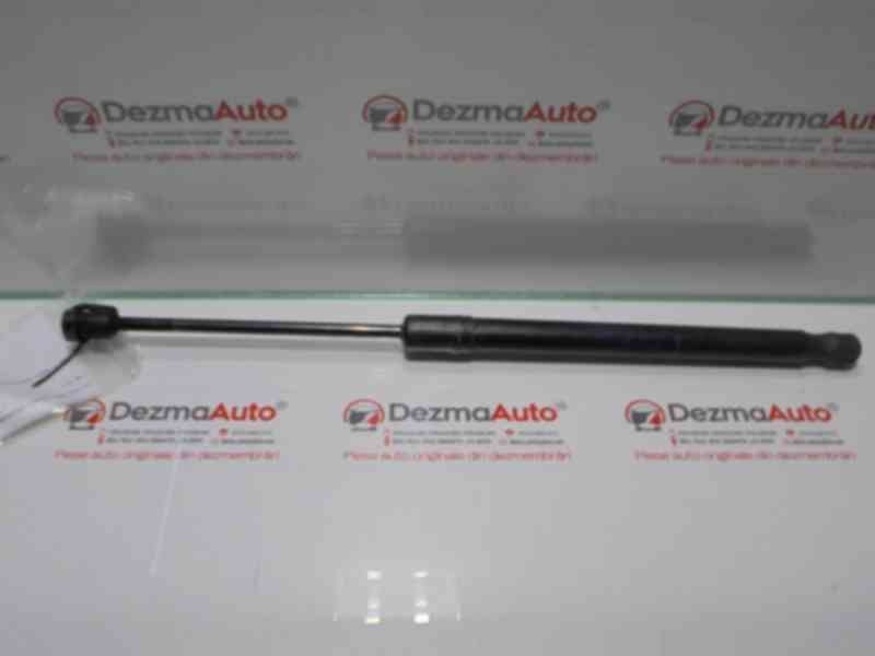 Telescop haion, 904510001R, Megane 3 hatchback (BZ0)