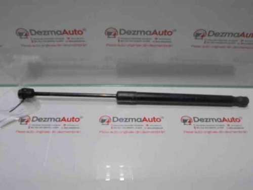 Telescop haion, 904510001R, Megane 3 hatchback (BZ0)