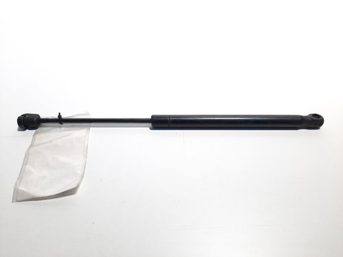 Telescop haion, cod 8200051750, Renault Megane 2, id:268196