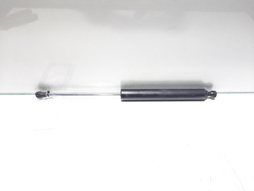 Telescop haion, cod 8200246092, Renault Vel Satis (id:426995)