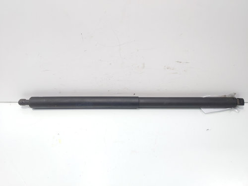 Telescop haion, cod GM13247949, Opel Insignia A Combi (id:694877)