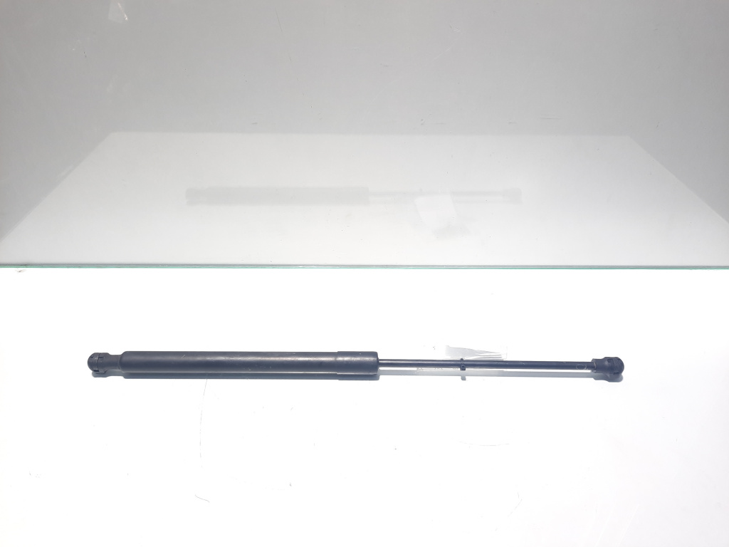 Telescop haion, Dacia Sandero 2, cod 904529943R (id:452201)