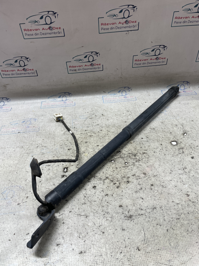 Telescop haion dreapta Renault Koleos 2016, 904520316R