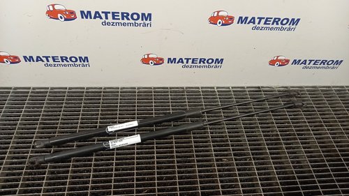 TELESCOP HAION FORD C-MAX C-MAX - - (2010 2015)