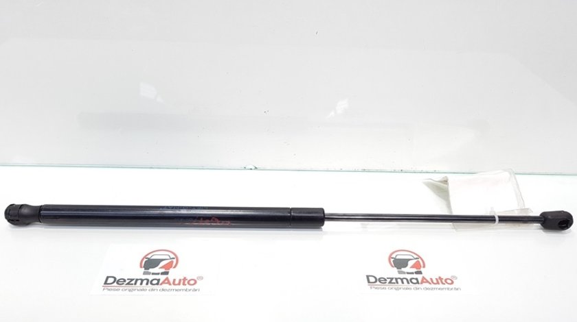 Telescop haion, luneta, Renault Megane 2 combi, cod 8200135264 (id:216083)