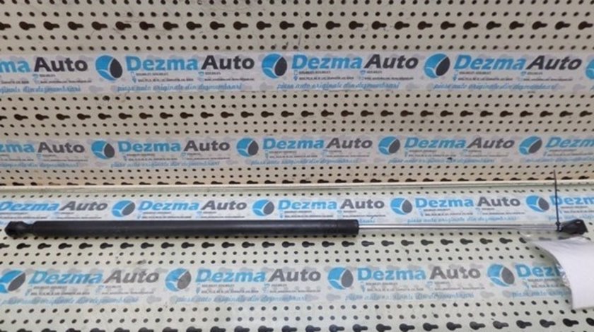 Telescop haion Peugeot Partner, 1.6hdi, 9HW, 9HX
