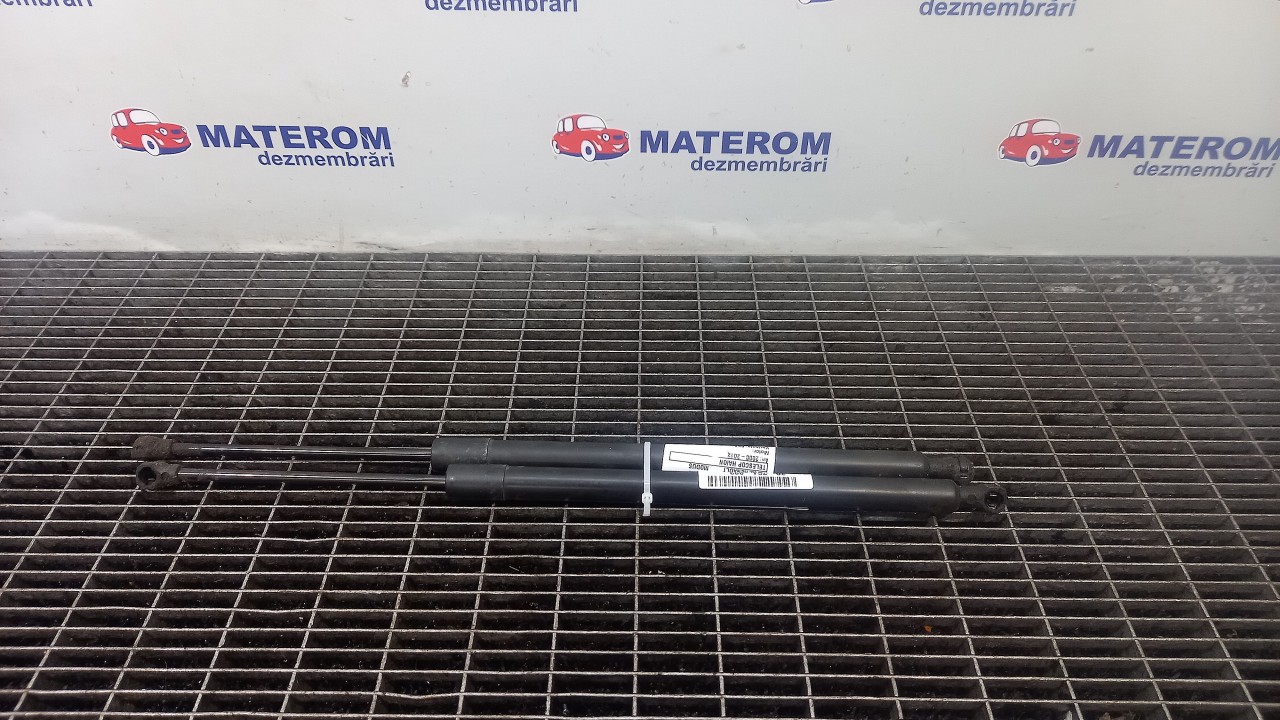TELESCOP HAION RENAULT MODUS - - (2008 2012)