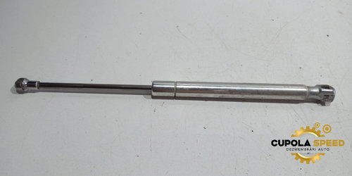 Telescop haion stanga 3D5827550C Volkswagen VW Phaeton [2002 - 2008]