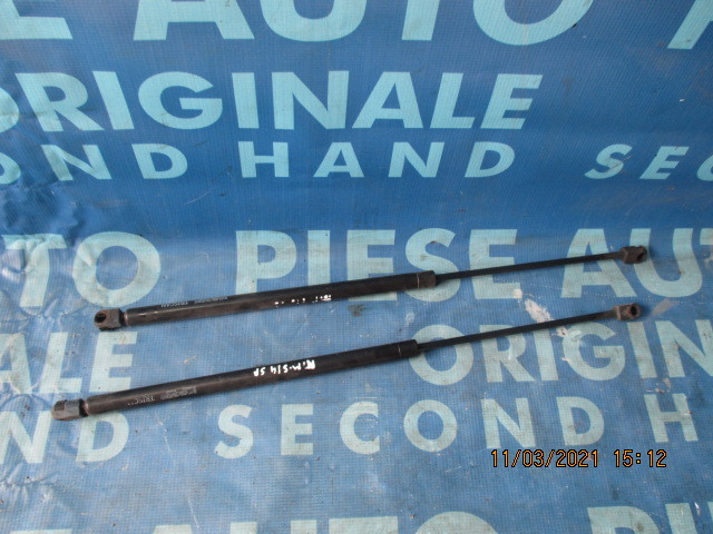Telescop Renault Megane Scenic 1999; 871025210 (hayon)