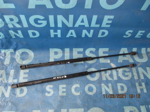 Telescop Renault Megane Scenic 1999; 871025210 (hayon)