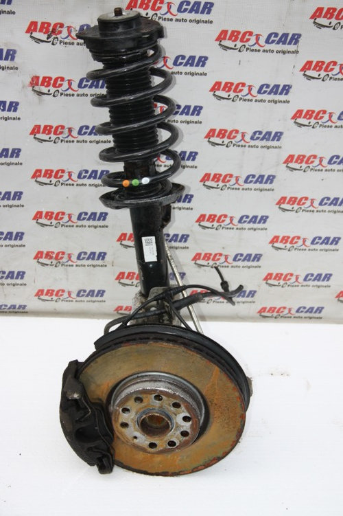 Telescop stanga fata VW Passat B7 2.0 TDI Cod: 3AA413031