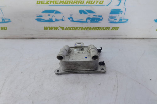 Termoflot 1.0 1.3 TCE h4d460 213055917r Renault Captur 2 [2019 - 2020] 1.0 TCE H4D460