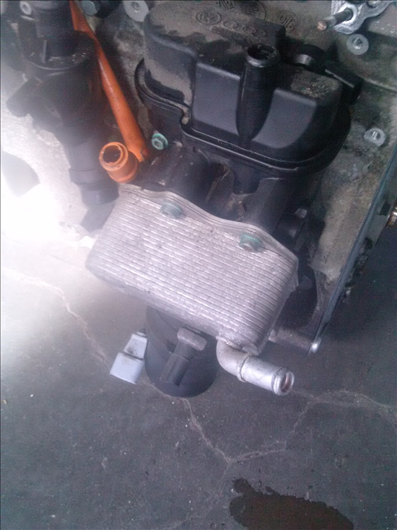 Termoflot 2.0fsi VOLKSWAGEN PASSAT B6