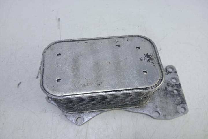 Termoflot 2.7 / 3.0 tdi 059117021J Audi Q7 4L [2005 - 2009]