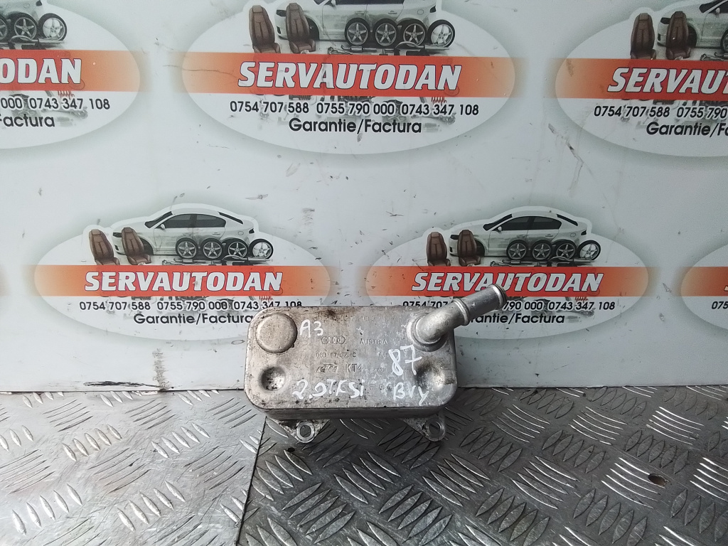 Termoflot Audi A3 (2003-2008) [8P1] 2.0 Benzina 2006, 06D117021C