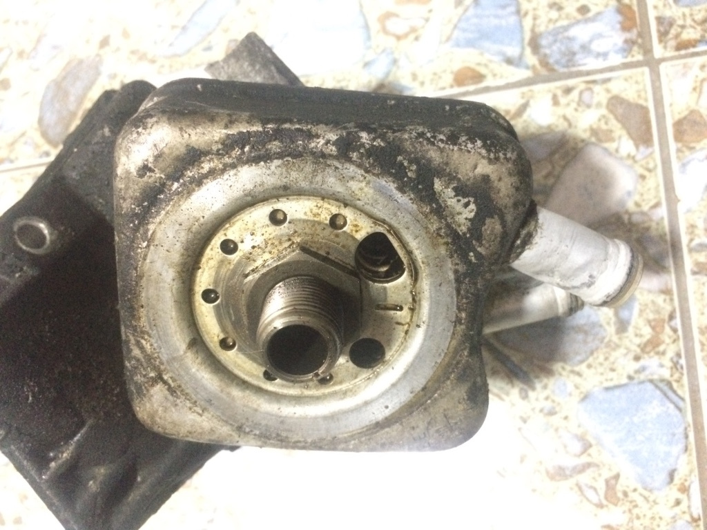 Termoflot Audi A3 8P/8PA [facelift] [2004 - 2008] Sportback hatchback 5-usi 1.6 MT (102 hp) 1.6 - BGU