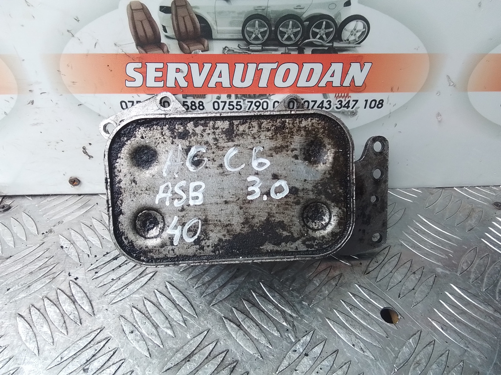 Termoflot Audi A6 (2004-2011) [4F2, C6] 3.0 Motorina 2008, 059117021H