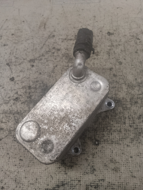 Termoflot Audi A6 C6 2.0 2007, 06D117021C