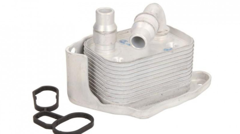 Termoflot BMW 3 cupe (E46) 1999-2006 #4 056033N