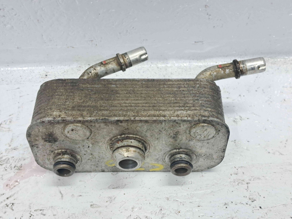 Termoflot Bmw 3 (E46) [Fabr 1998-2005] OEM 2.0 N42 2.0 N42 105KW / 143CP