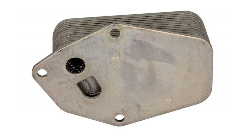 Termoflot BMW 5 (E39) 1995-2003 #2 0061303411