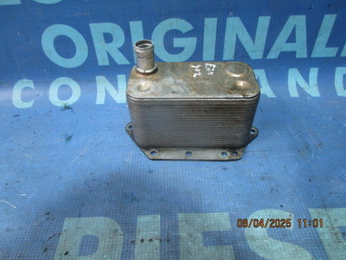 Termoflot BMW E70 X5 3.0d M57N D3 2007