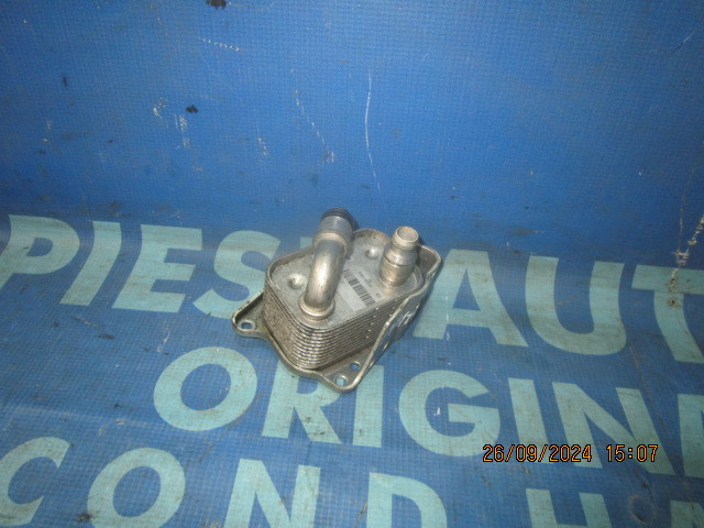 Termoflot BMW E90 318i 2.0i N43B20A ; 8316000