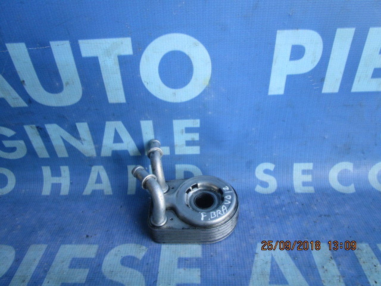 Termoflot Fiat Bravo 1.9d