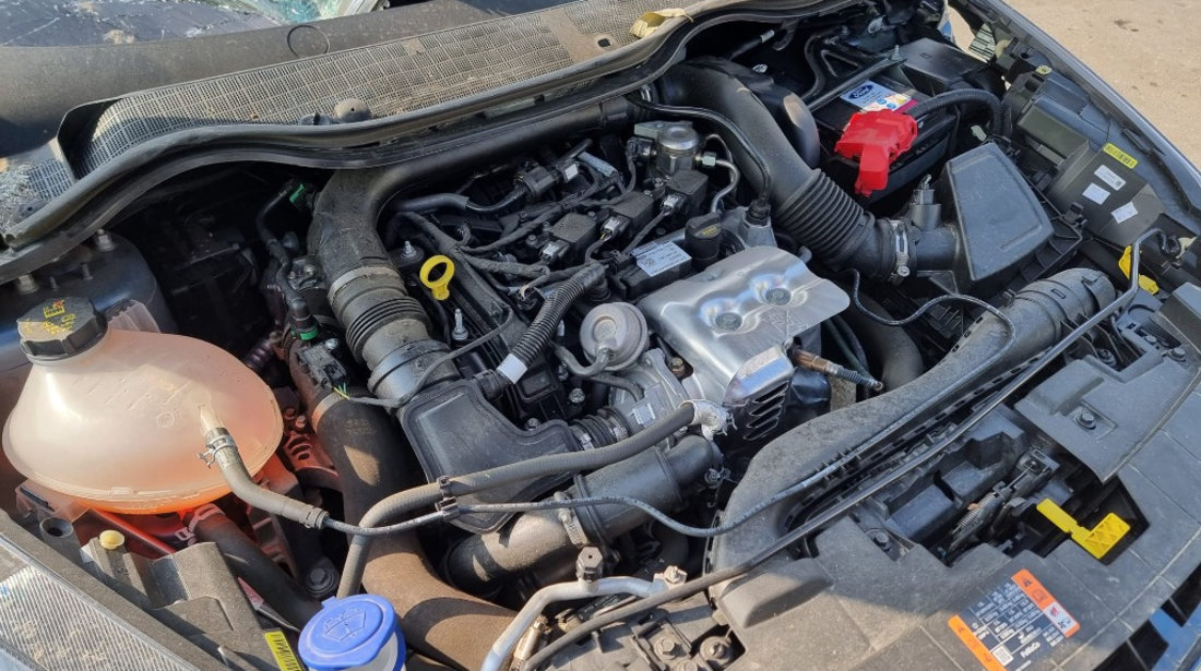 Termoflot Ford Fiesta 7 2022 hatchback 1.0 ecoboost