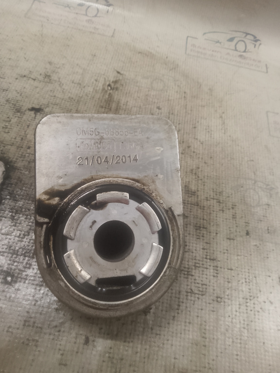 Termoflot Ford Focus 3 1.0 2014, CM5G6B856EA