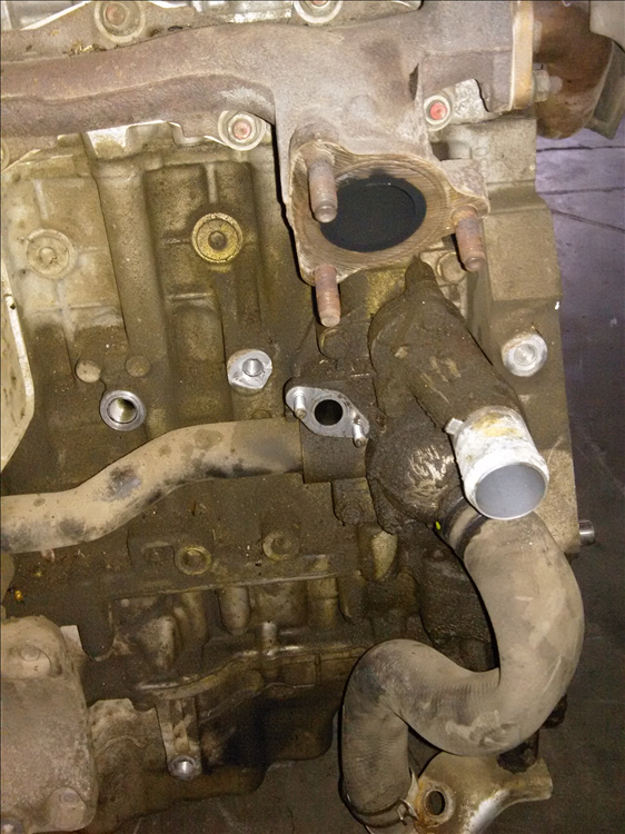 Termoflot HONDA ACCORD 2.2 D an fabr. 2010