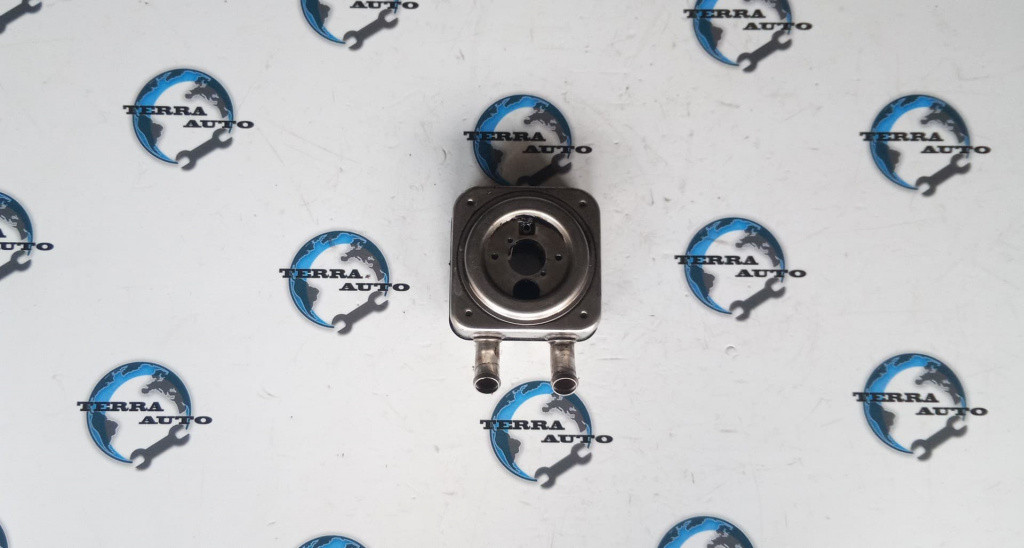 Termoflot Hyundai Trajet 2.0 CRDI 83 KW 113 CP cod motor D4EA