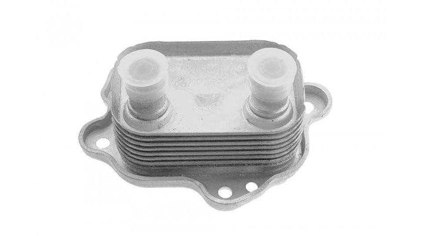 Termoflot MINI Cooper S (2001-2006) #1 11427509212