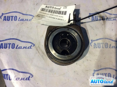 Termoflot racitor Ulei 1.9 DCI Renault LAGUNA II BG0/1 2001