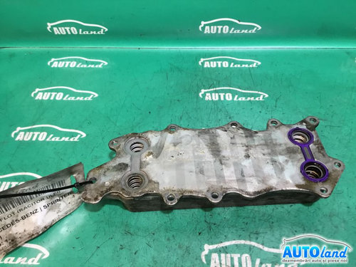 Termoflot racitor Ulei 6421800165 3.0 V6 Mercedes-Benz SPRINTER 905 1995