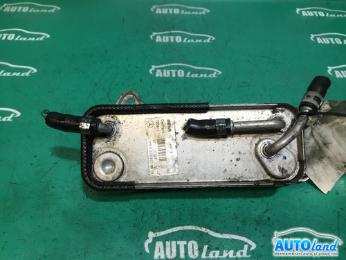 Termoflot racitor Ulei A6120700079 Mercedes-Benz C-CLASS W203 2000