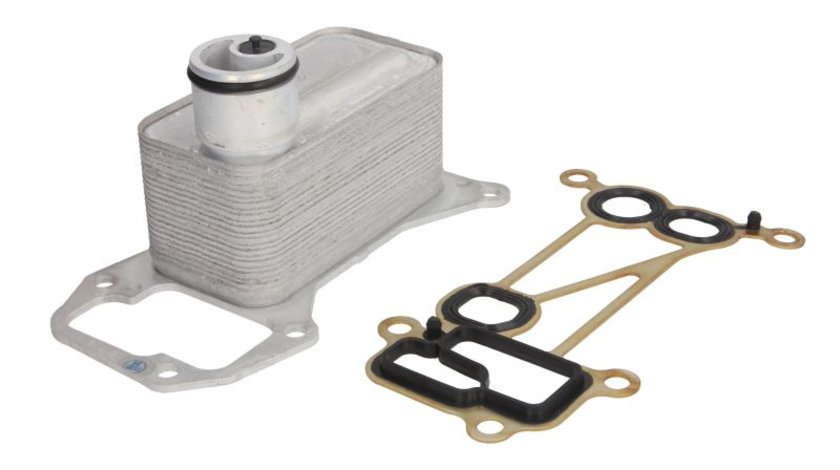 Termoflot radiator ulei (71x69x141, cu garnitura) BMW Seria 3 (E90), 3 (E91), 3 (E92), 3 (E93), 5 (F10), 5 (F11), 5 GRAN TURISMO (F07), 7 (F01, F02, F03, F04), X5 (E70) 3.0 d intre 2008-2017