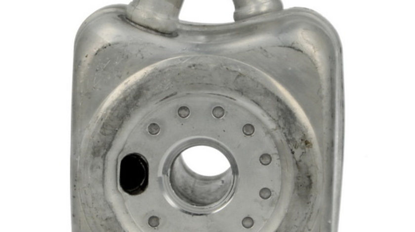 Termoflot radiator ulei (90x54x90; cu garnitura) AUDI A2, A3, A4, A6, TT; CHRYSLER SEBRING; DODGE AVENGER, CALIBER, JOURNEY; JEEP COMPASS, PATRIOT; MITSUBISHI GRANDIS 1.4-2.8 dupa 1995