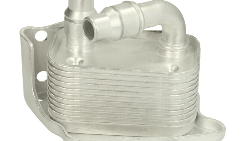 Termoflot radiator ulei (95x50x64; cu garnitura) BMW Seria 1 (E81), 1 (E82), 1 (E87), 1 (E88), 3 (E46), 3 (E90), 3 (E91), 3 (E92), 3 (E93), 5 (E60), 5 (E61), X1 (E84), X3 (E83) 1.6-2.0 intre 1999-2015 cod intern: CI4613CF