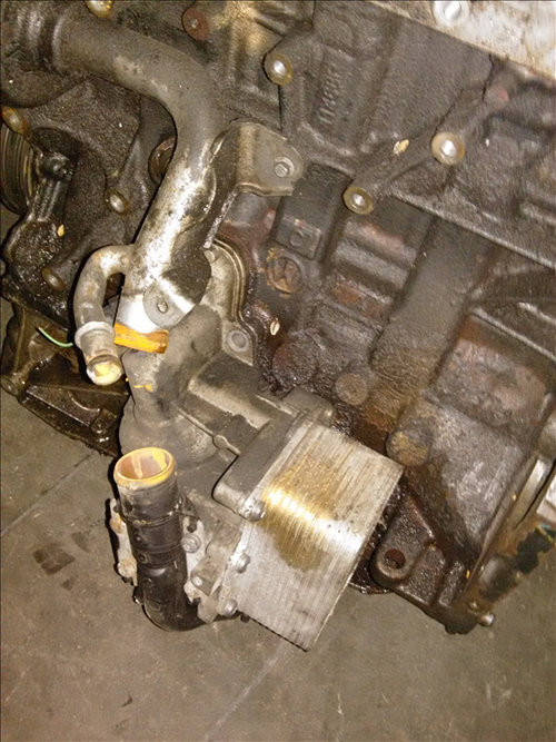 Termoflot RENAULT MASTER 2.3 D an fabr. 2018