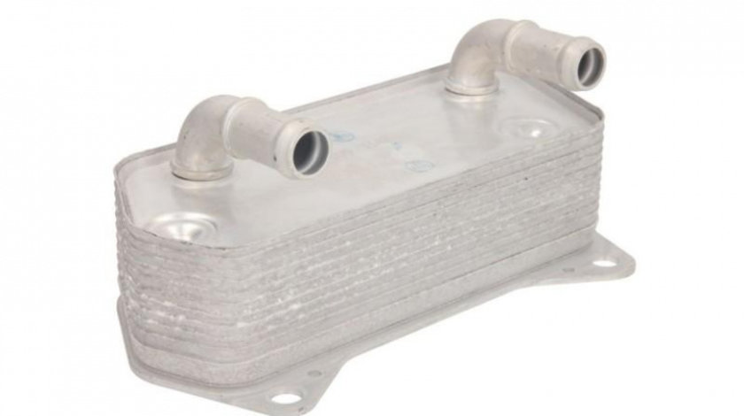 Termoflot Volkswagen AUDI A3 (8P1) 2003-2012 #4 02E409061B